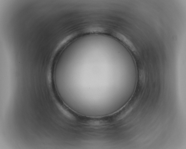 X0000113290629200909281012