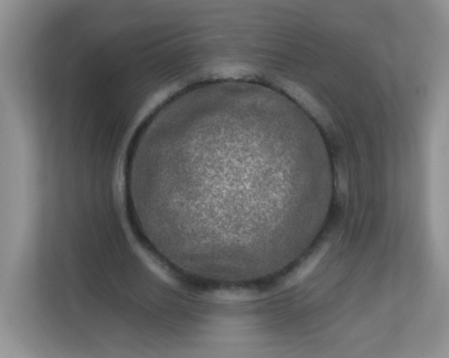 X0000113290630200909281013