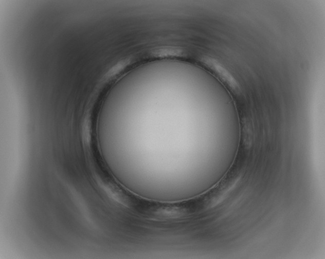 X0000113290631200909281013