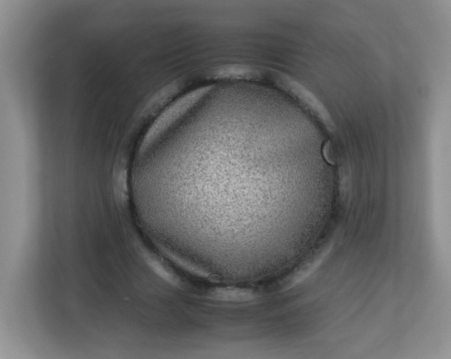 X0000113290633200909281013