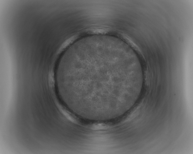 X0000113290634200909281013