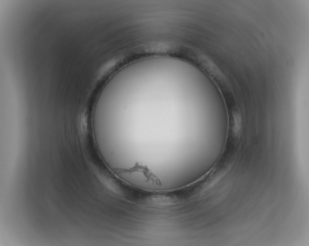 X0000113290636200909281013