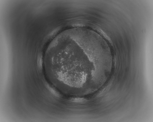 X0000113290637200909281013