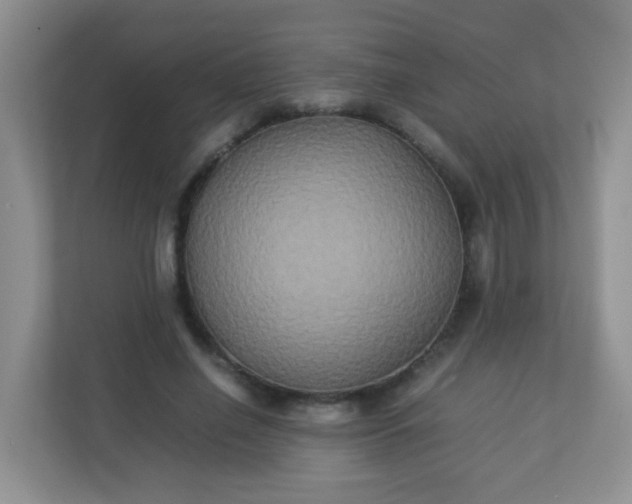 X0000113290638200909281013