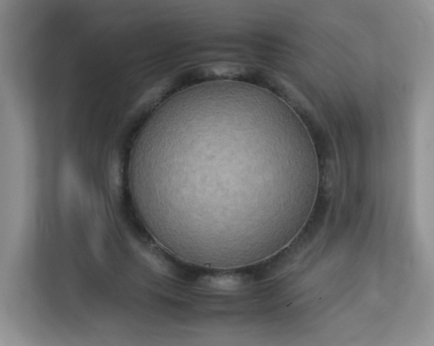 X0000113290639200909281013