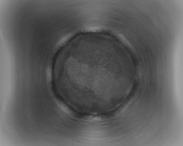 X0000113290640200909281013