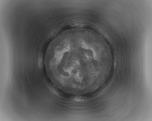 X0000113290641200909281013