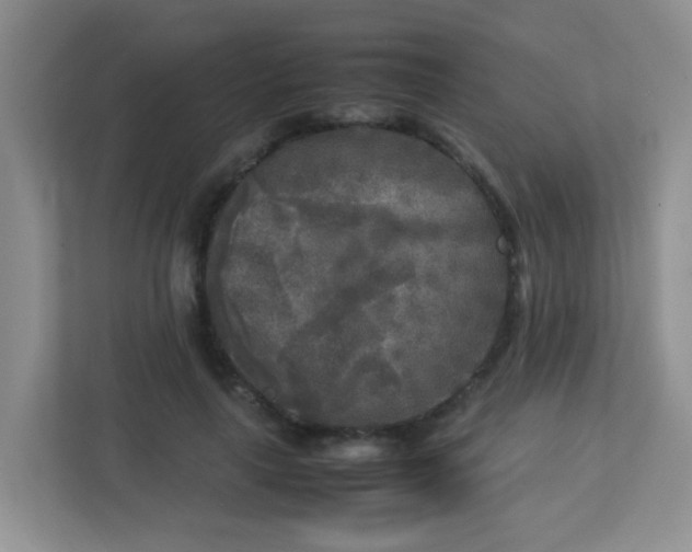 X0000113290643200909281013