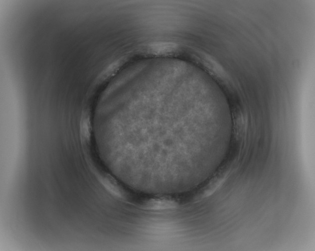 X0000113290644200909281013