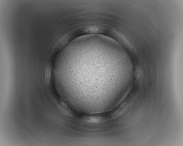 X0000113290645200909281013