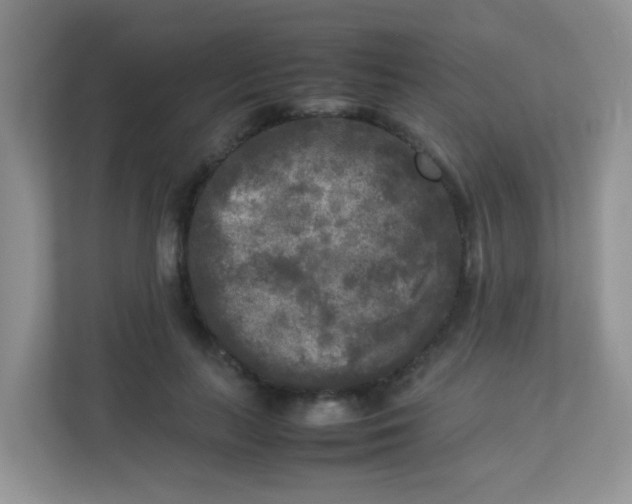 X0000113290647200909281013