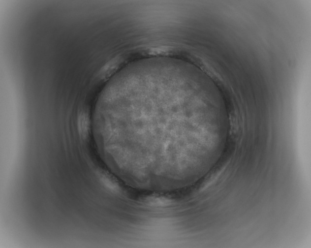 X0000113290648200909281013