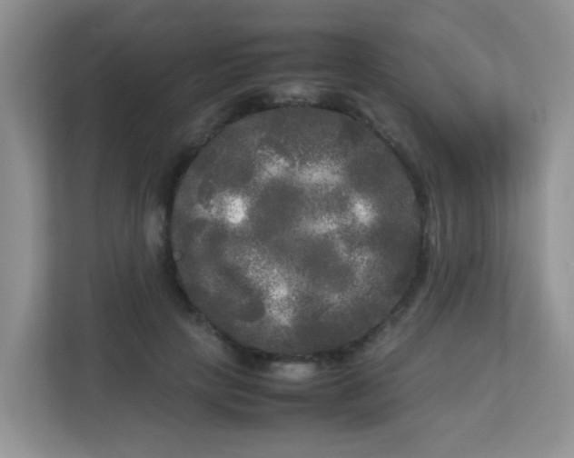 X0000113290649200909281013