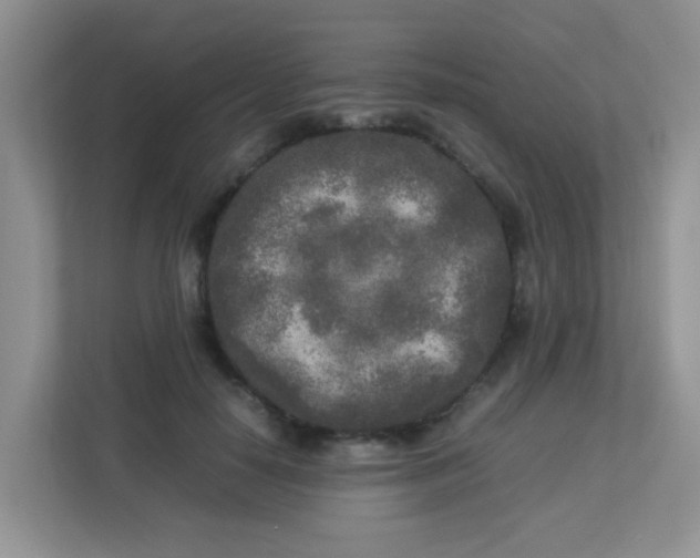 X0000113290650200909281013