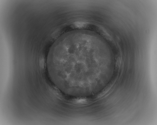 X0000113290651200909281013