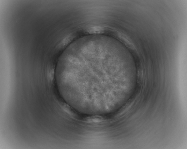 X0000113290652200909281013