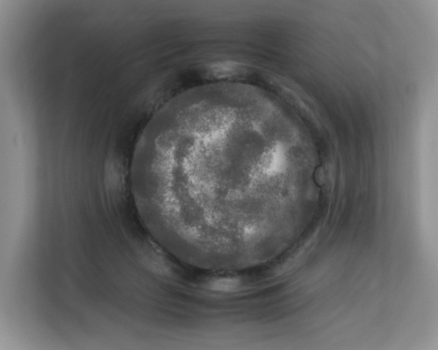 X0000113290653200909281013