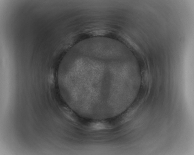 X0000113290655200909281013