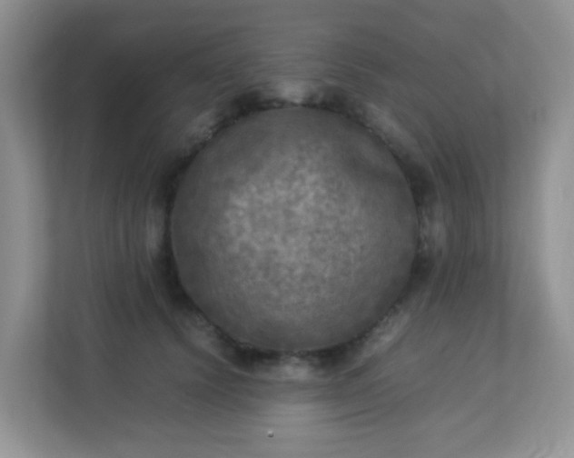 X0000113290656200909281013