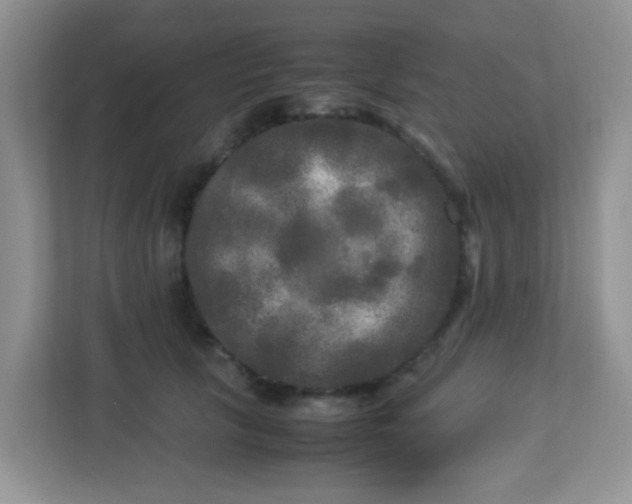 X0000113290657200909281013