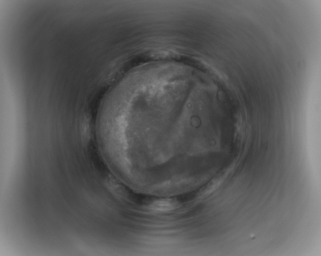 X0000113290659200909281013