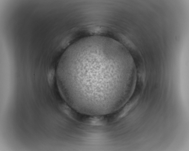 X0000113290660200909281013