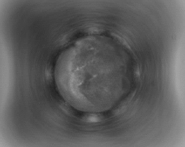 X0000113290663200909281013