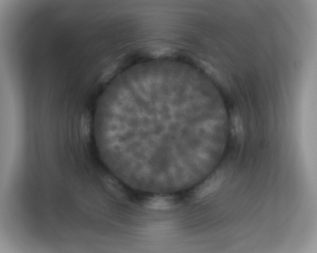 X0000113290664200909281013