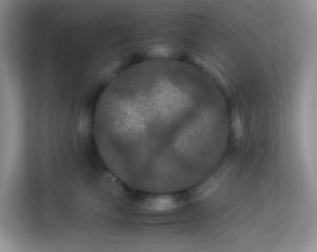 X0000113290665200909281013