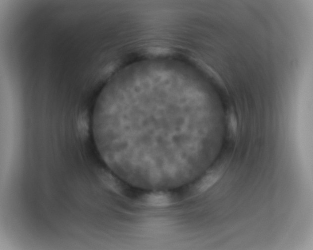 X0000113290668200909281013