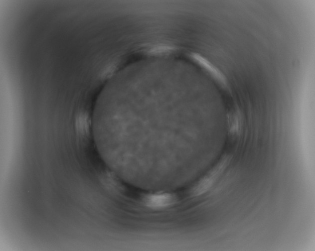 X0000113290669200909281013