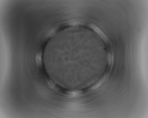 X0000113290670200909281013