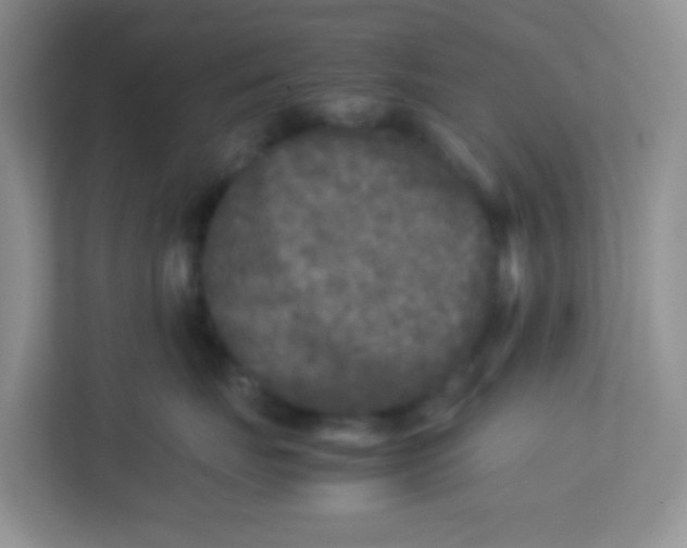 X0000113290671200909281013