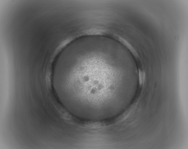 X0000113290675200909281012