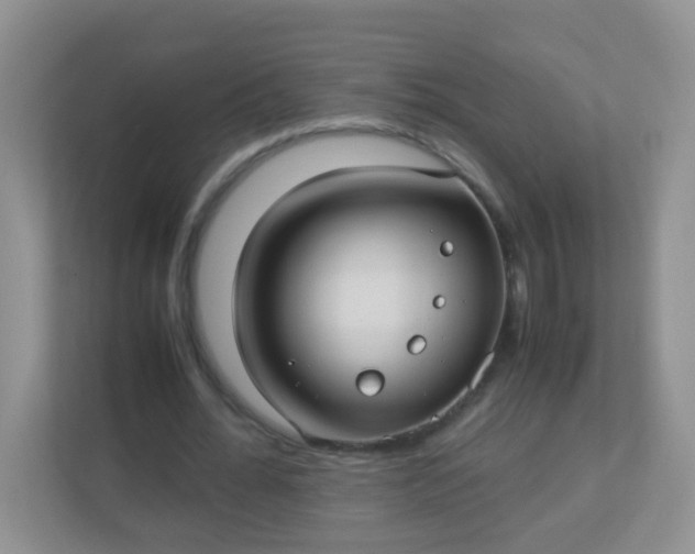 X0000113290676200909281012