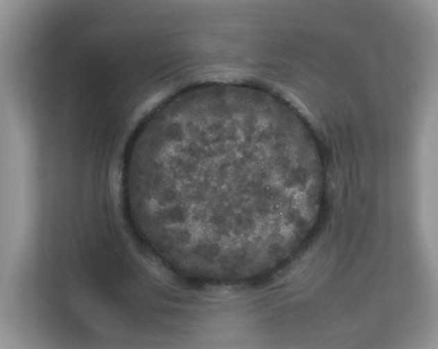 X0000113290679200909281012