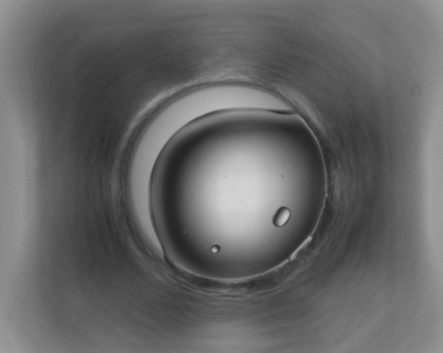 X0000113290680200909281012