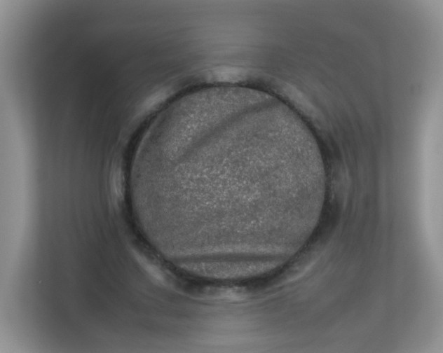 X0000113290683200909281012