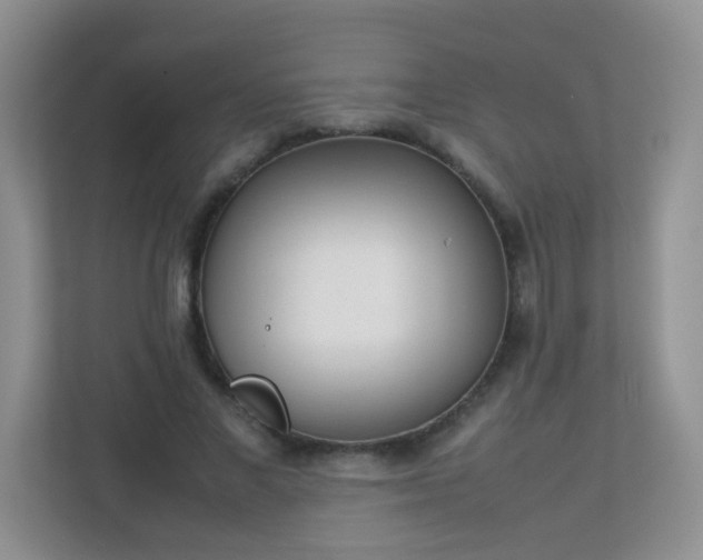 X0000113290685200909281012