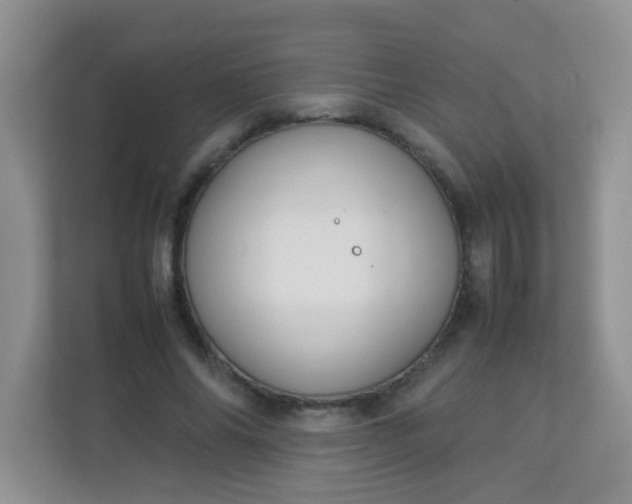 X0000113290686200909281012