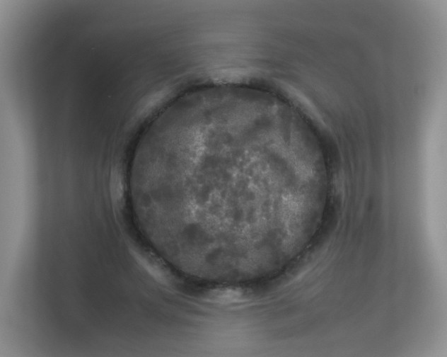 X0000113290687200909281012