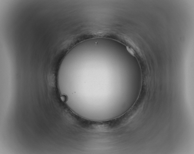 X0000113290689200909281012