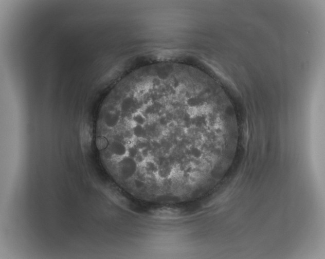 X0000113290691200909281012