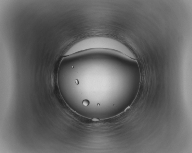 X0000113290692200909281012