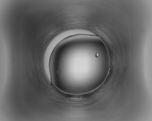 X0000113290693200909281012