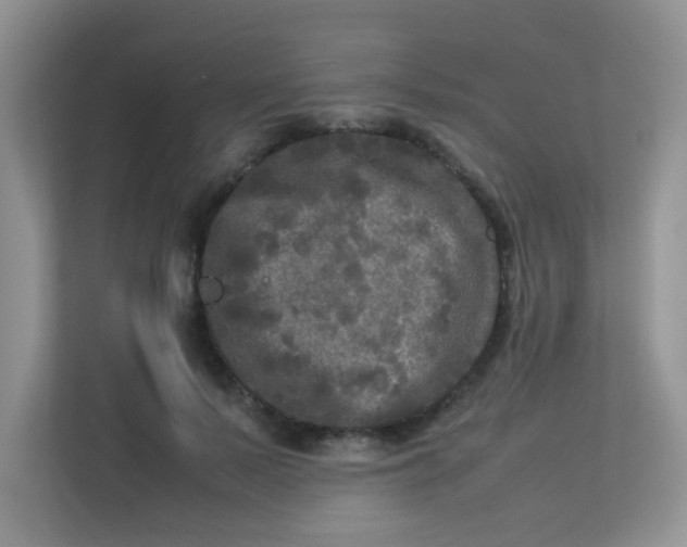 X0000113290695200909281012