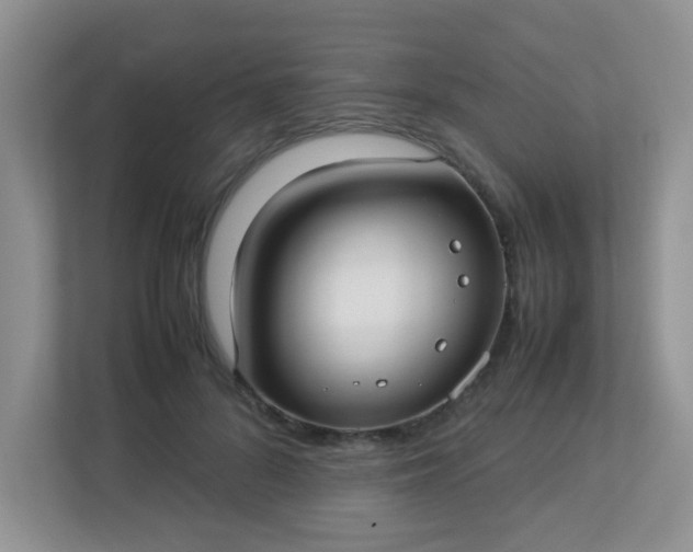 X0000113290696200909281012