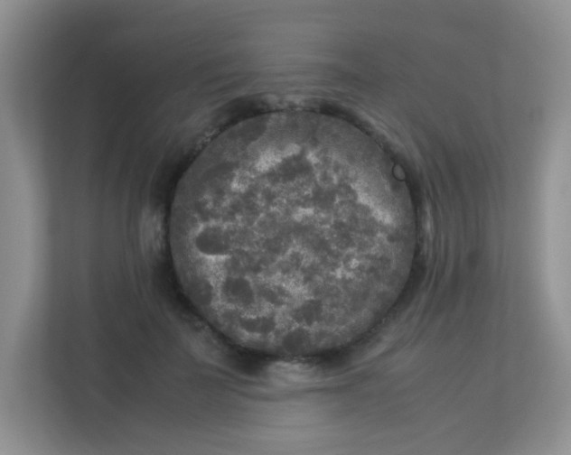 X0000113290699200909281012