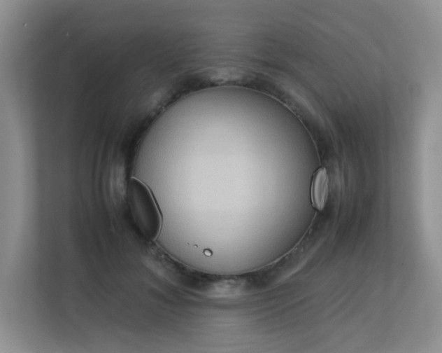 X0000113290700200909281012