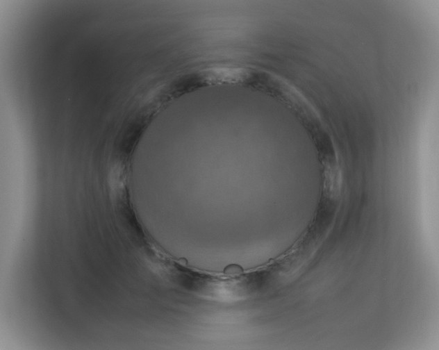 X0000113290701200909281012